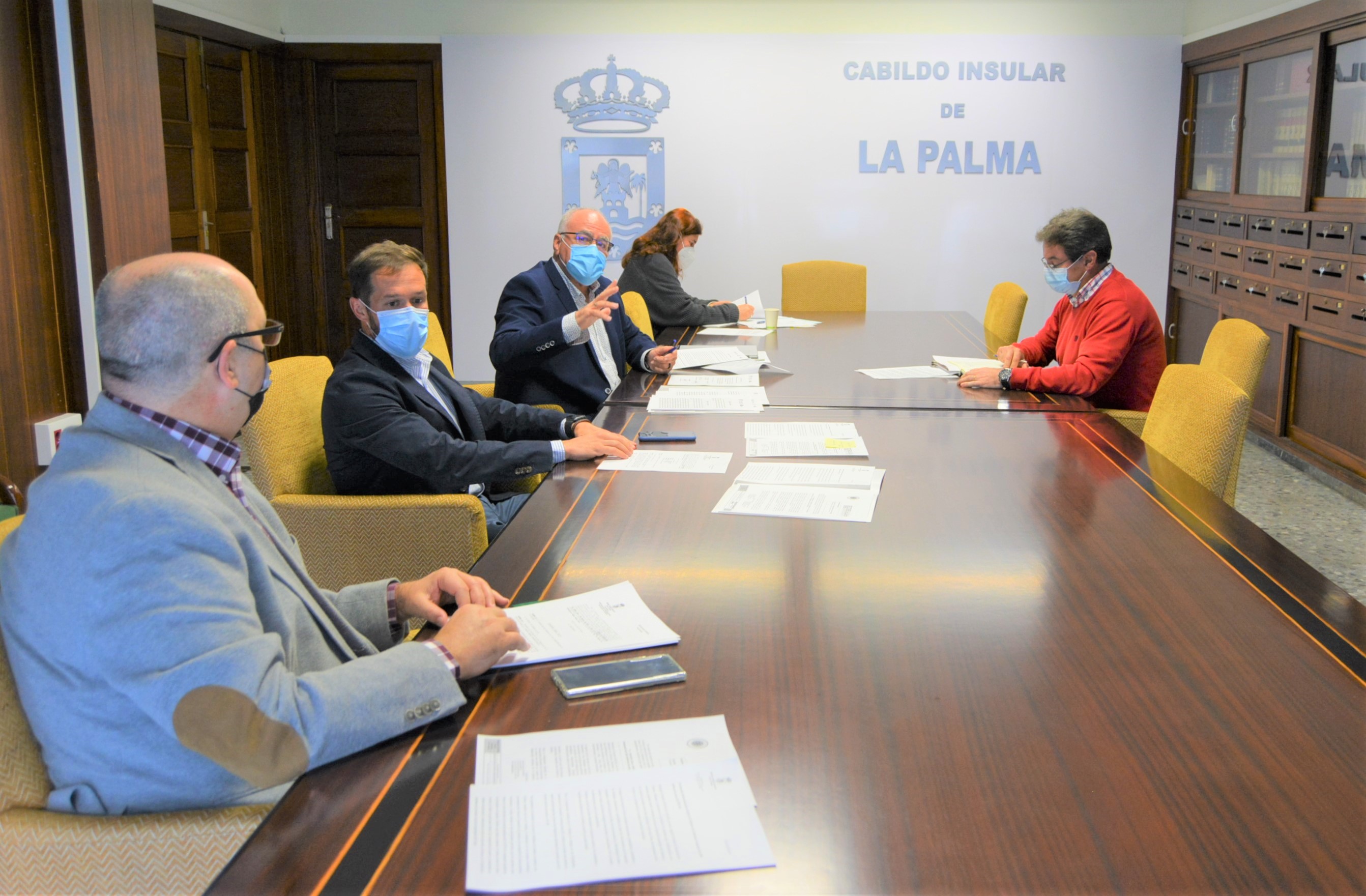 El Cabildo de La Palma