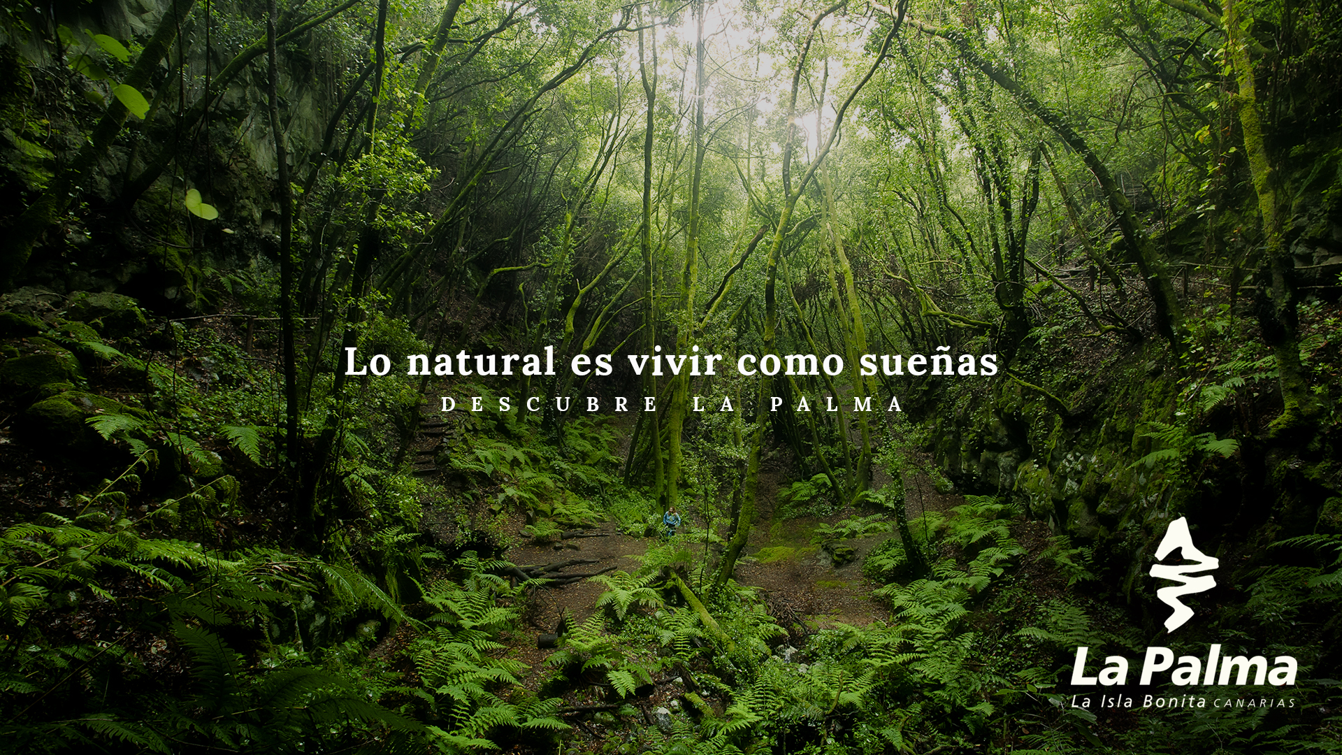 ‘Lo natural es vivir como sueñas’, nueva campaña de turismo de la isla La Palma 