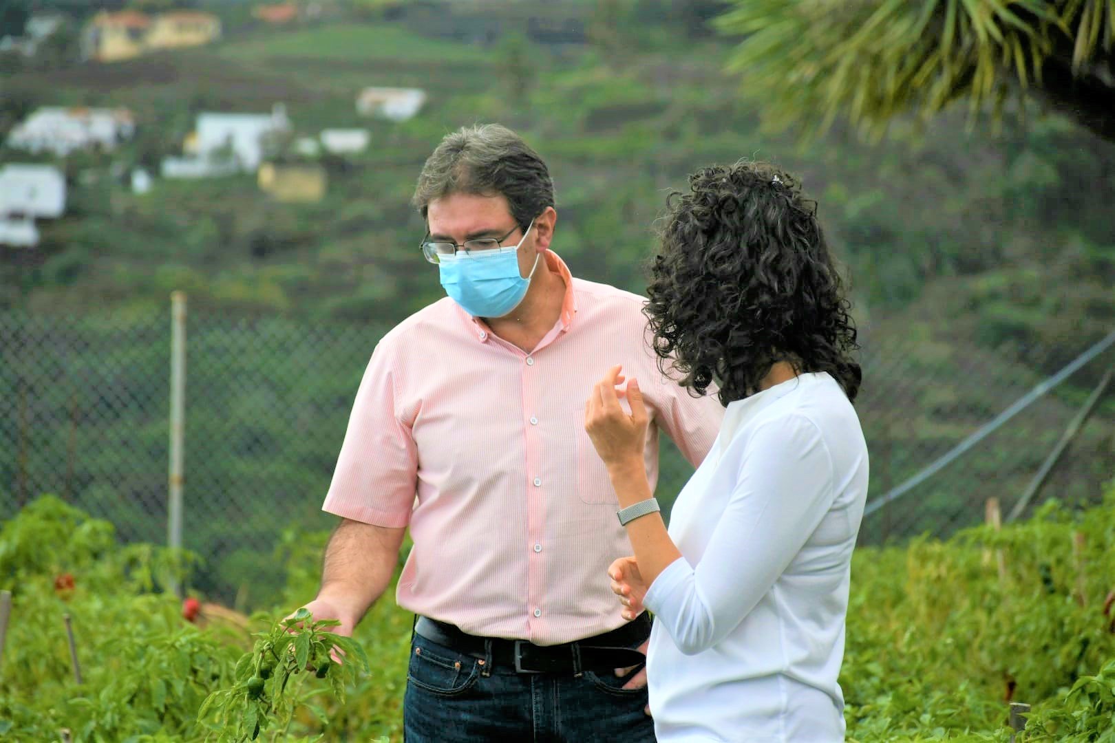 El Programa de Agricultura Sostenible del Cabildo asesora a 63 agricultores de La Palma