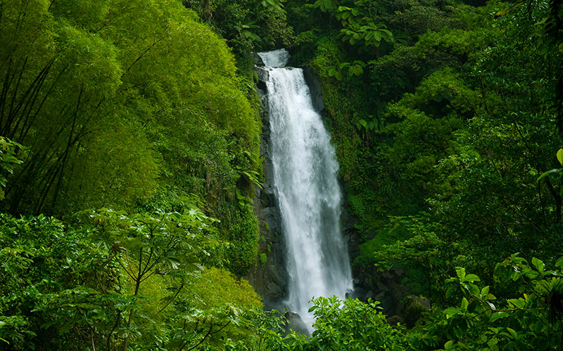 La Reserva de la Biosfera aprueba su presupuesto para 2022, que cuenta con una subvención de 15 millones para la recuperación de la Isla