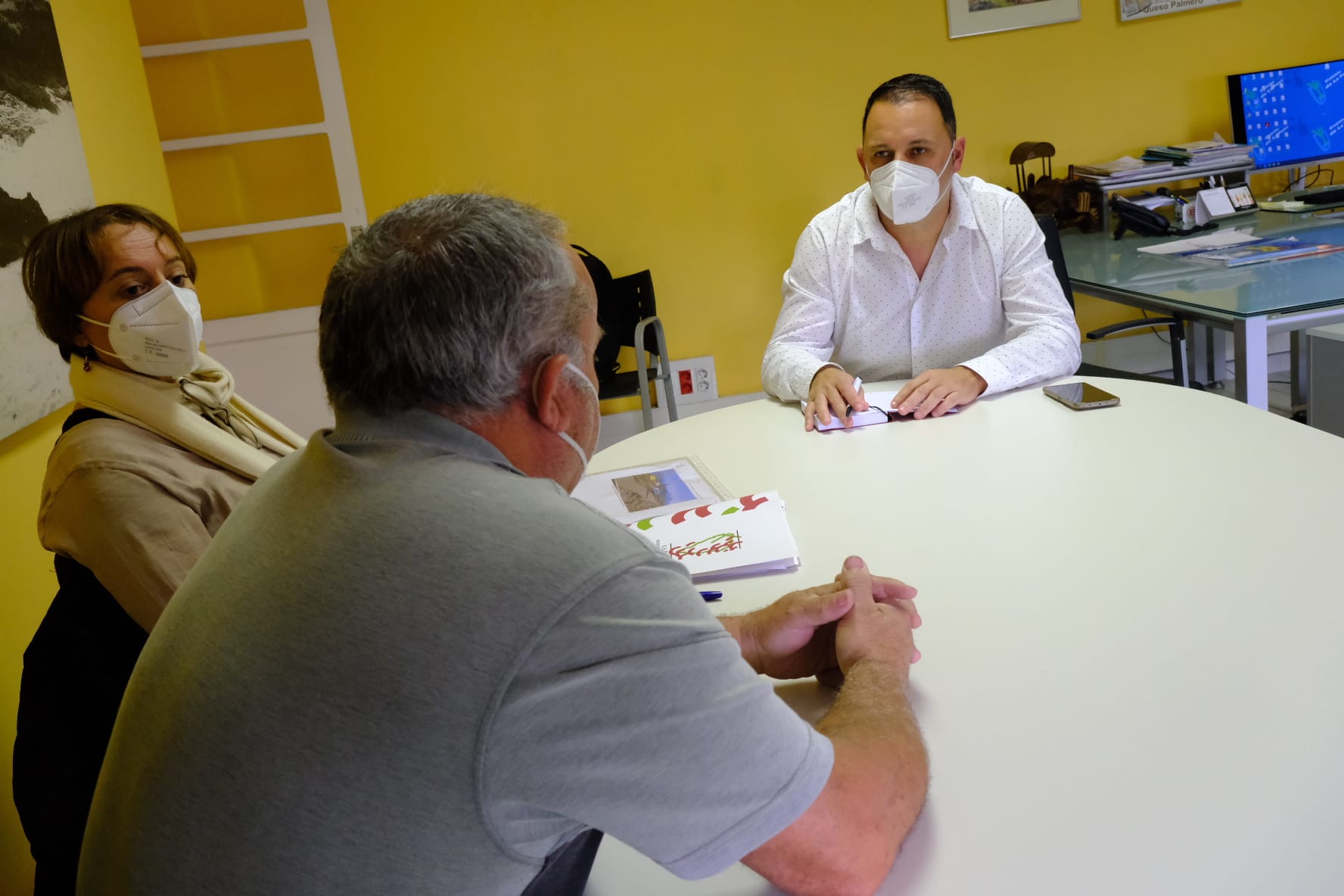 El Cabildo y el Consejo Regulador Vinos de La Palma analizan la situación del sector tras la erupción volcánica 