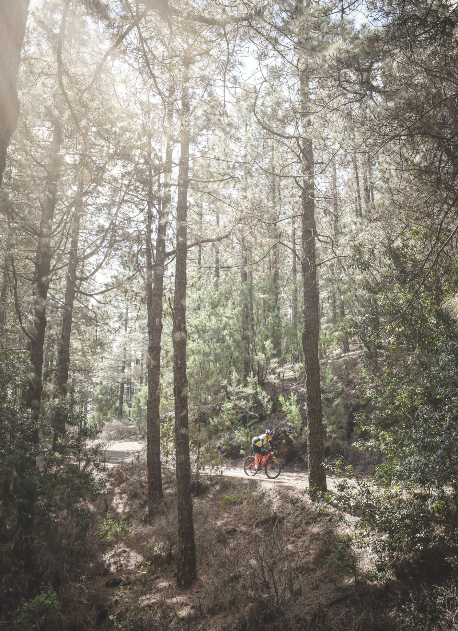 Transvulcania Bike ofrece un espectáculo deportivo sobresaliente que hace renacer  a senderos y pistas afectados por el volcán