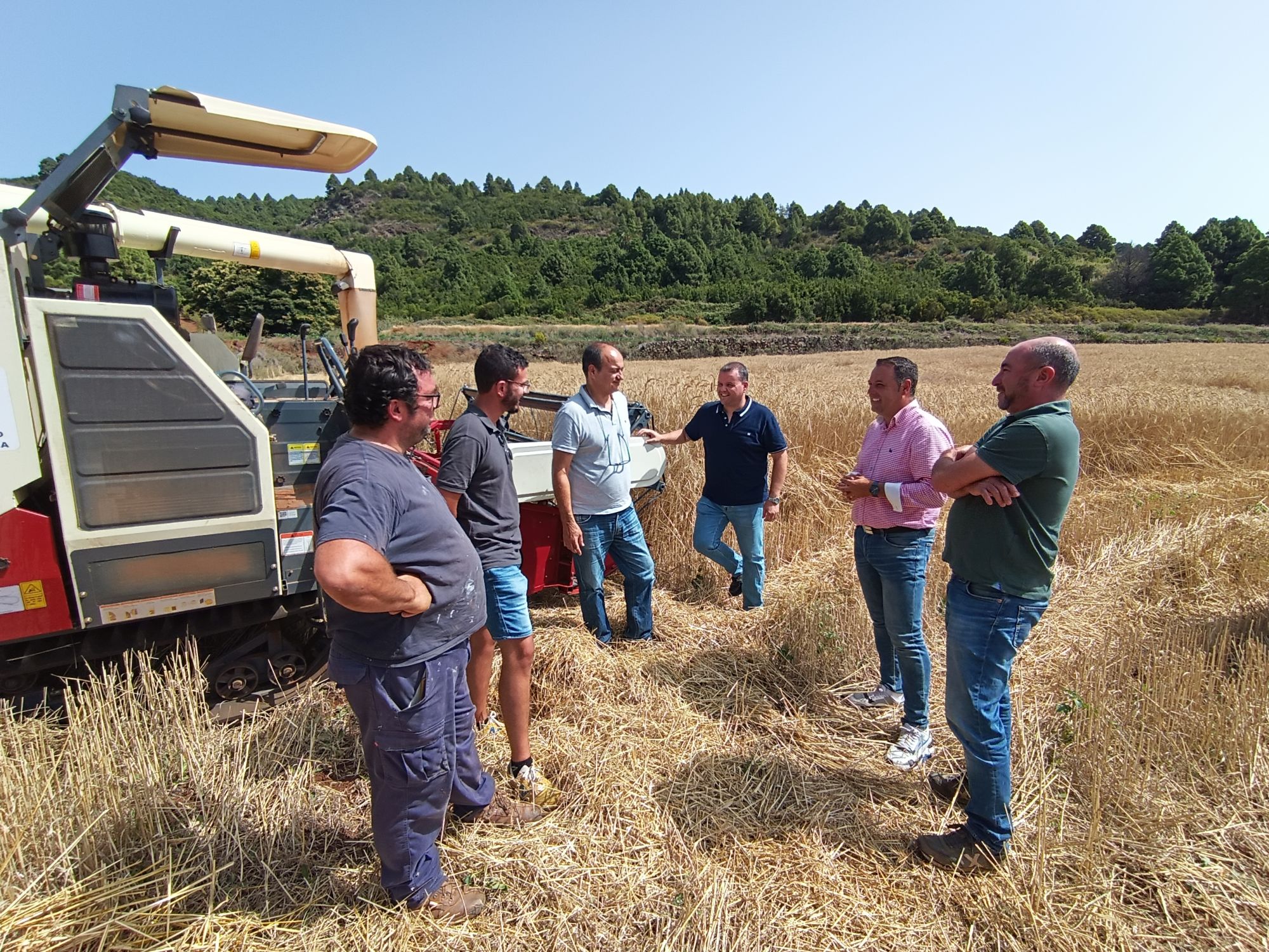 El Plan Forrajero de La Palma incrementa su actividad hasta las 17 hectáreas