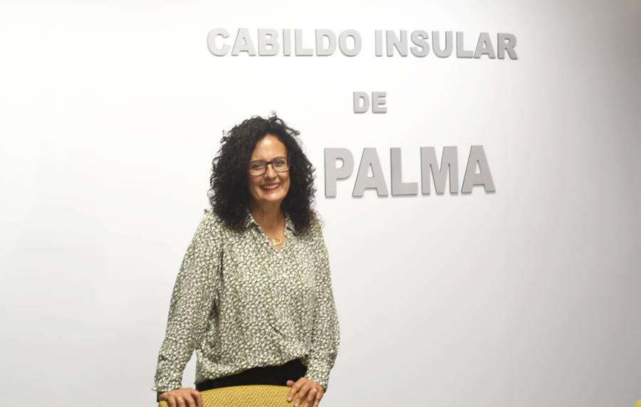 El Cabildo llama a la cooperación ciudadana para evitar la acumulación de residuos en zonas no habilitadas 