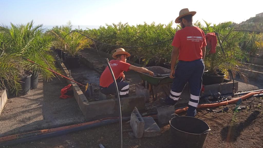 Medio Ambiente refuerza el personal del Vivero Insular para la conservación de plantas endémicas