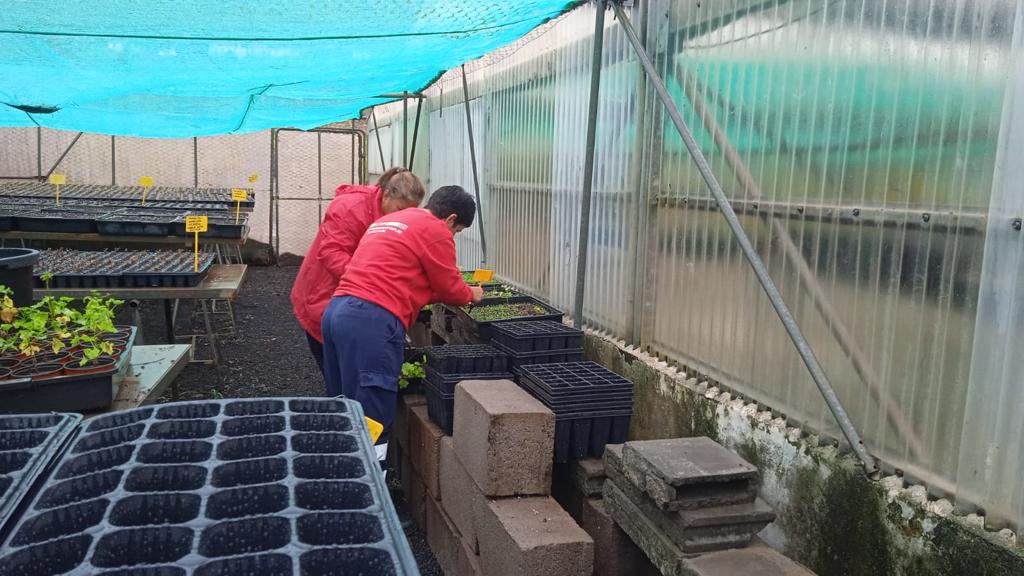 Medio Ambiente refuerza el personal del Vivero Insular para la conservación de plantas endémicas