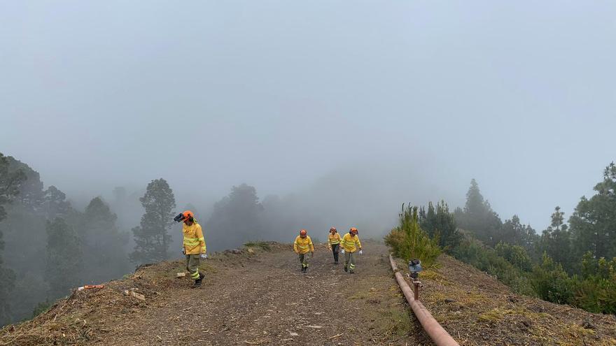 La Palma moviliza 350.000 euros del Feader para reducir la peligrosidad de los incendios forestales y mejorar El Pilar  