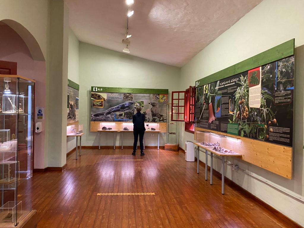 Medio Ambiente contrata el proyecto técnico para la nueva musealización del Centro de Visitantes Los Tilos - Parque Natural Las Nieves