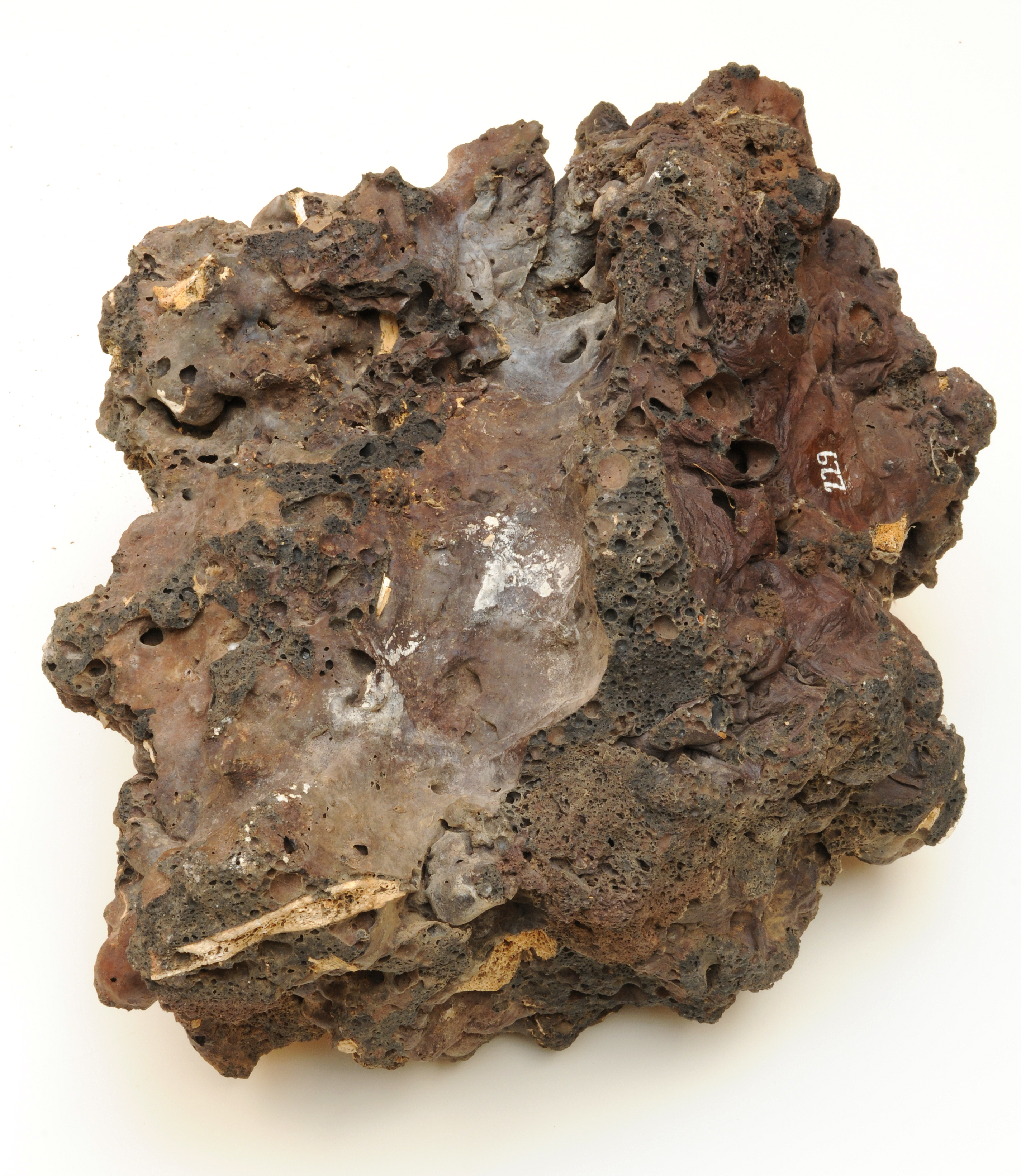 El Palacio Salazar acoge la exposición ‘La necrópolis de La Cucaracha: entre fuego y volcanes. 60 años del hallazgo del yacimiento arqueológico’