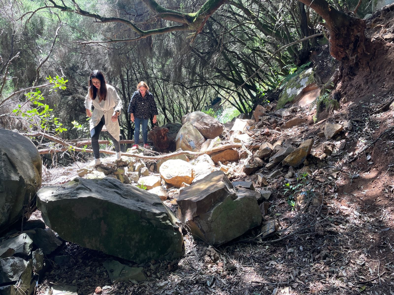 La Zarza y La Zarcita