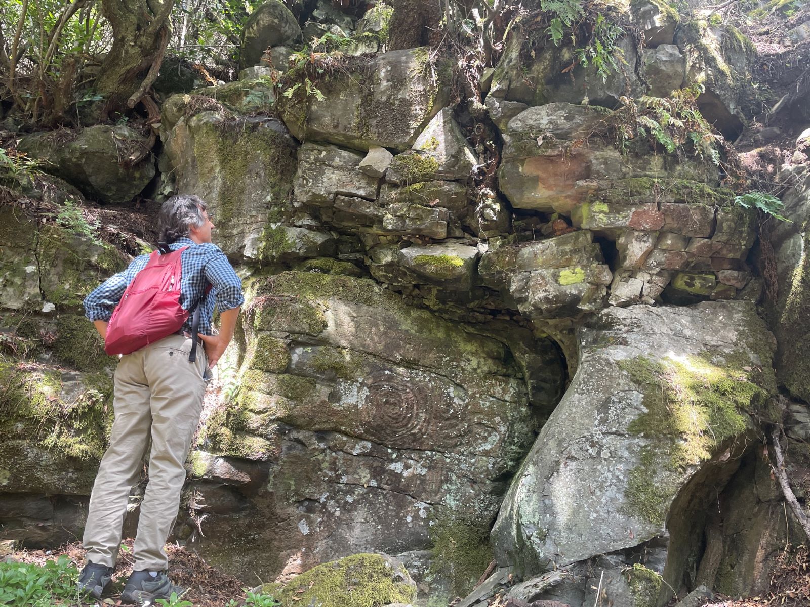 La Zarza y La Zarcita