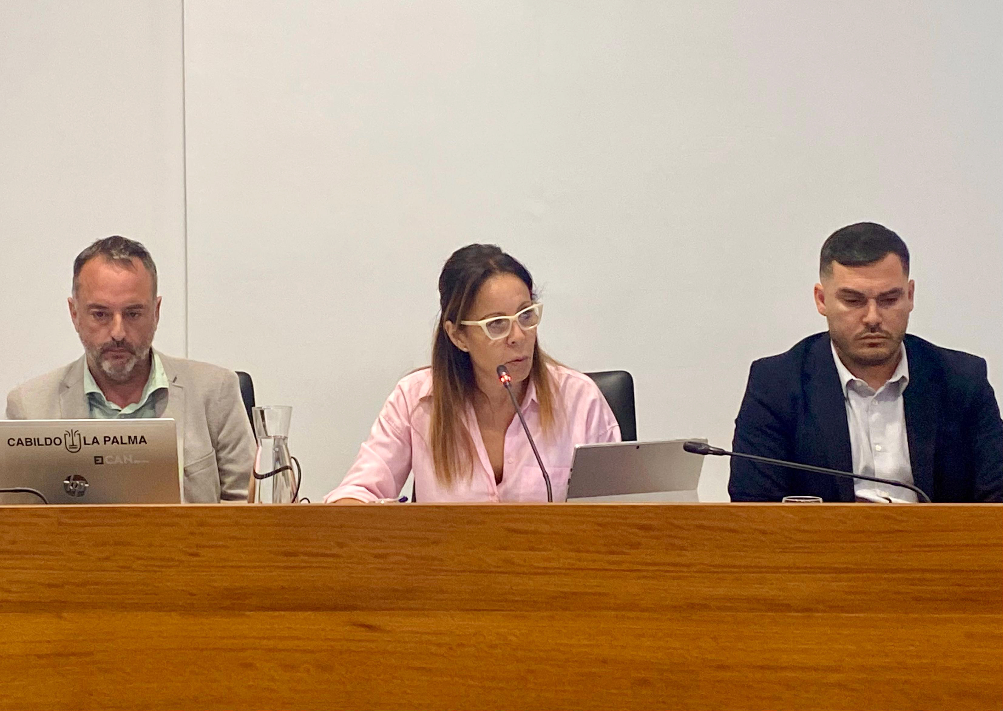 El Cabildo insta a la consejería regional de Educación a potenciar la figura de los psicólogos zonales en los centros educativos de la Isla