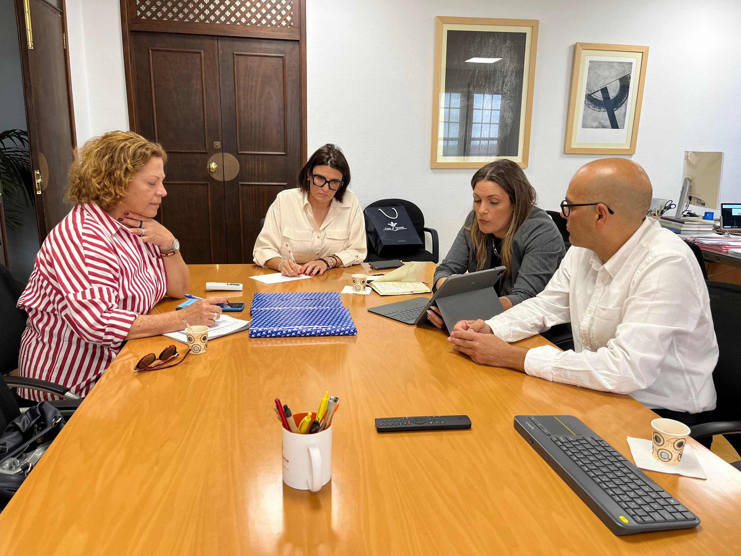 El Cabildo y Puertos marcan una hoja de ruta para mejorar la atención y servicios a los cruceristas en la Isla