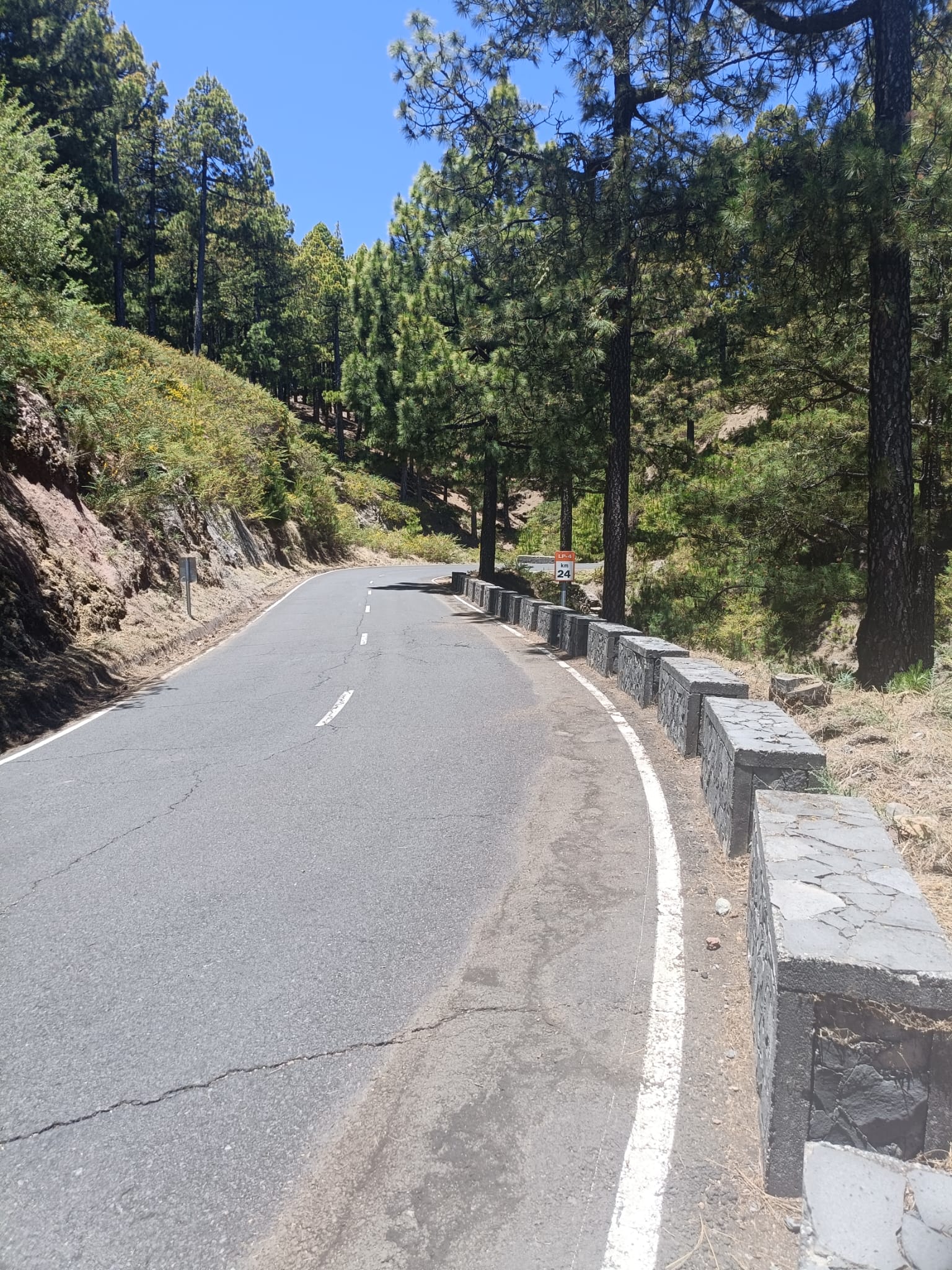 El Cabildo continúa mejorando la seguridad y limpieza de las carreteras de la Isla
