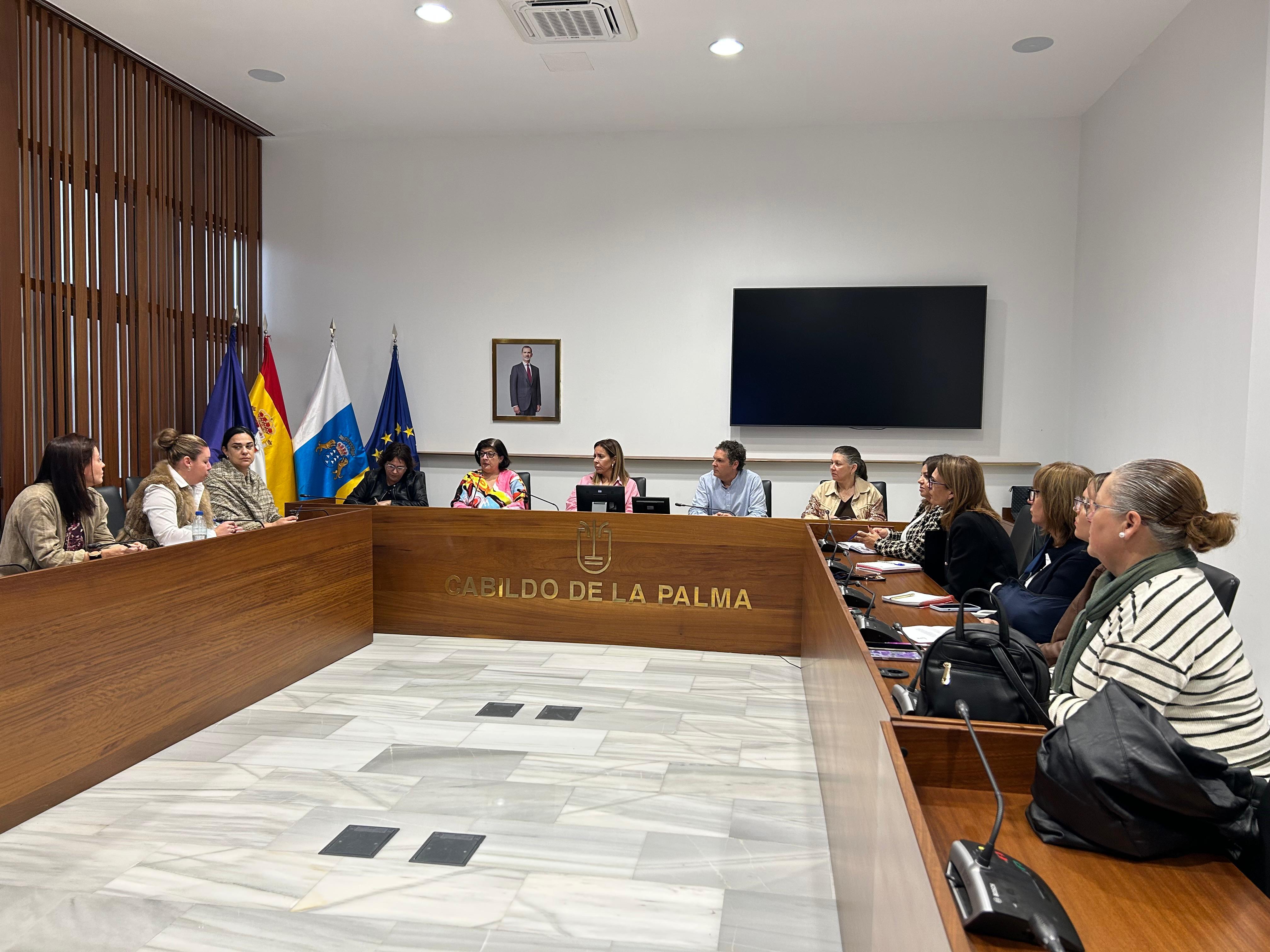 El Cabildo financia un servicio de Ayuda a Domicilio tarde-noche a los ayuntamientos 