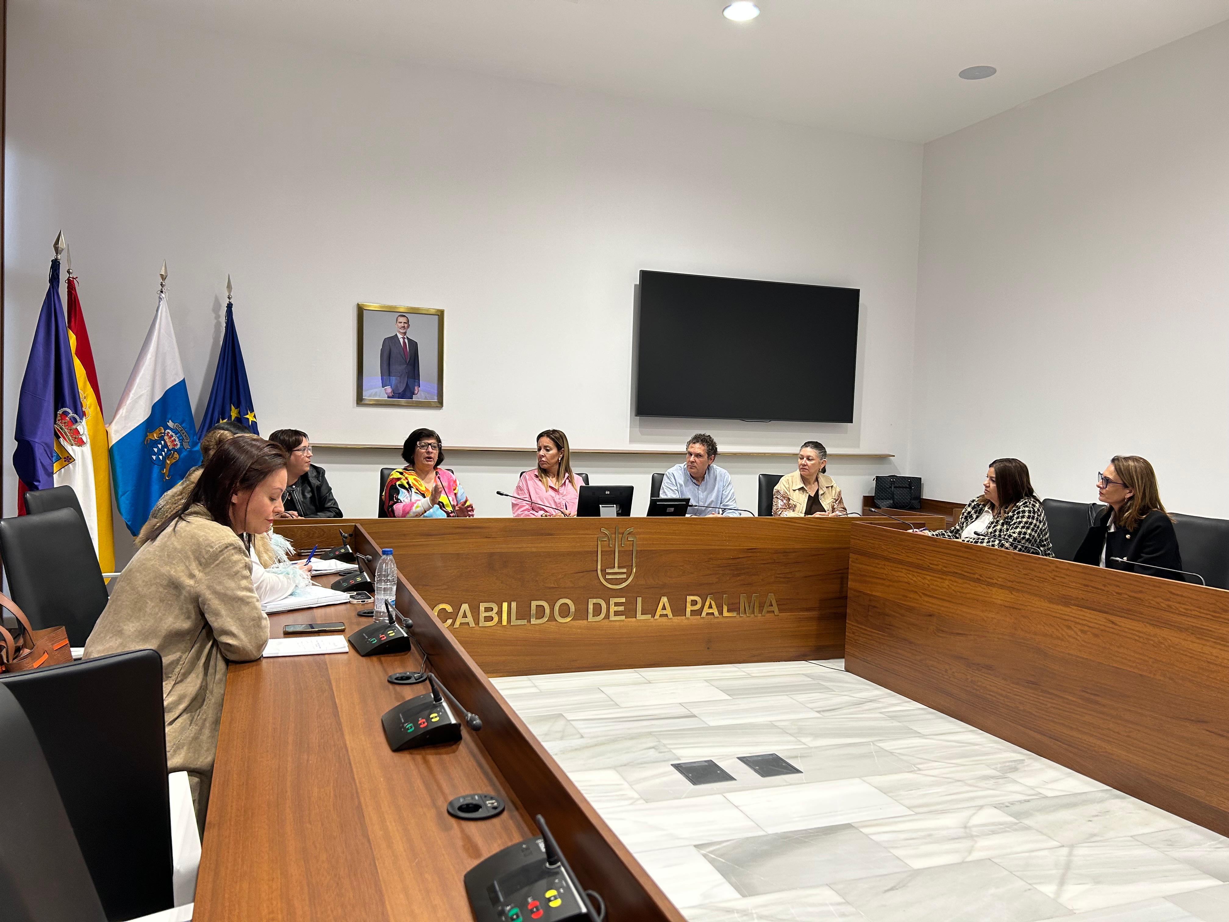 El Cabildo financia un servicio de Ayuda a Domicilio tarde-noche a los ayuntamientos 