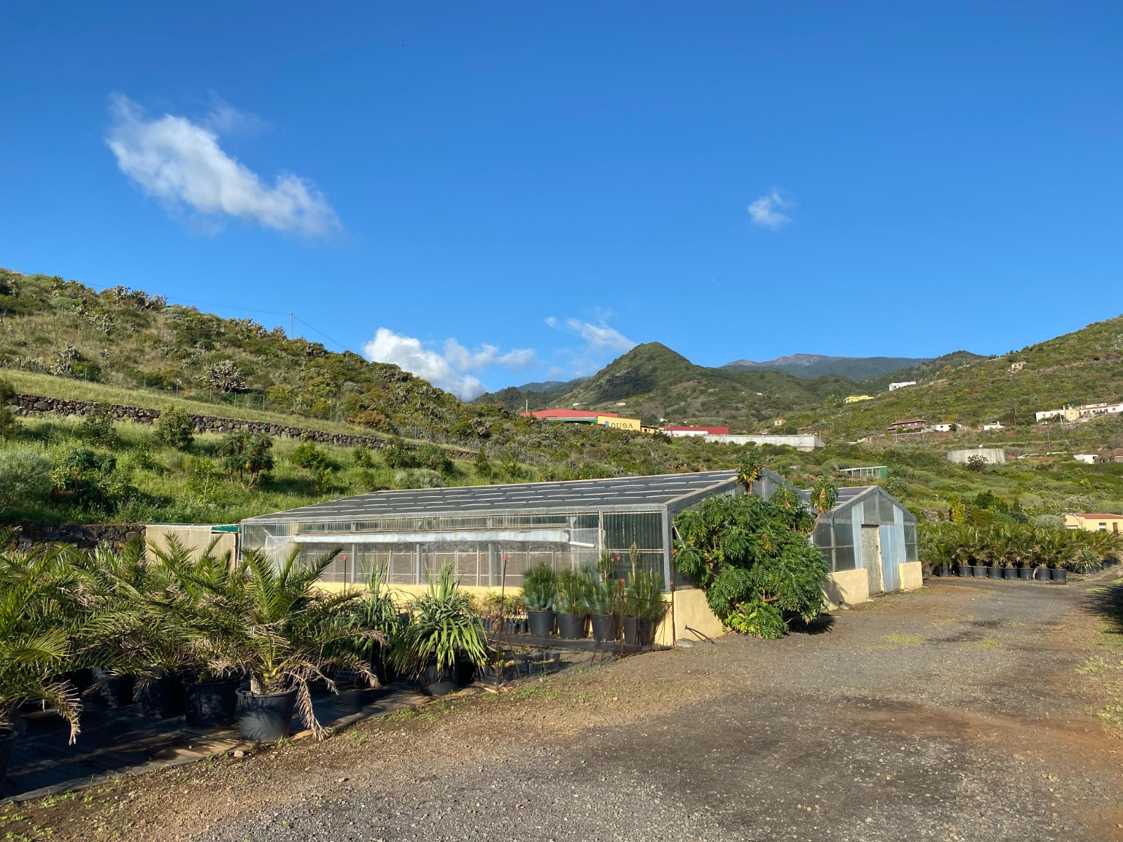 El Cabildo destina más de medio millón de euros a la mejora del Vivero de Flora Autóctona y el Centro de Rehabilitación de Fauna Silvestre