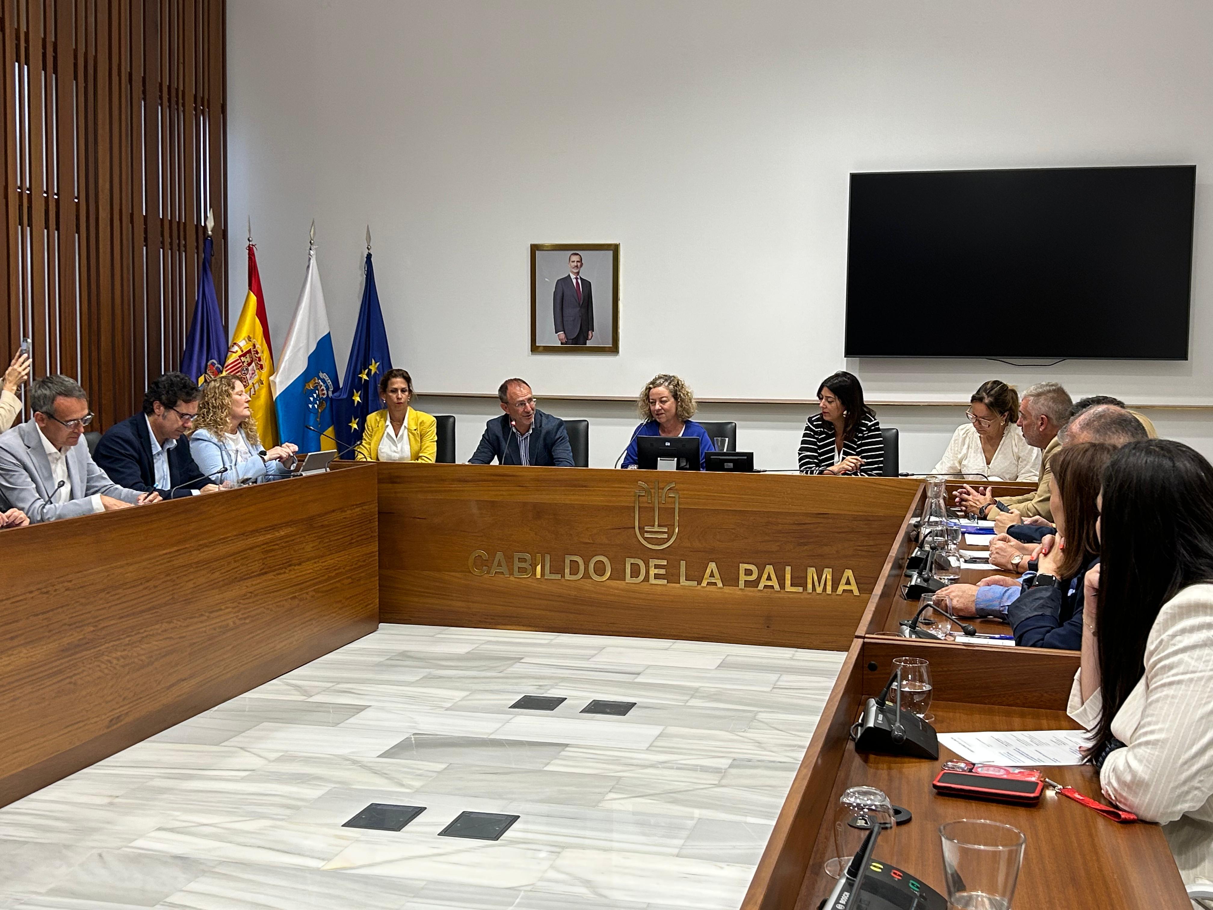 El Cabildo de La Palma y el Parlamento analizan las necesidades de la isla en la atención a la discapacidad