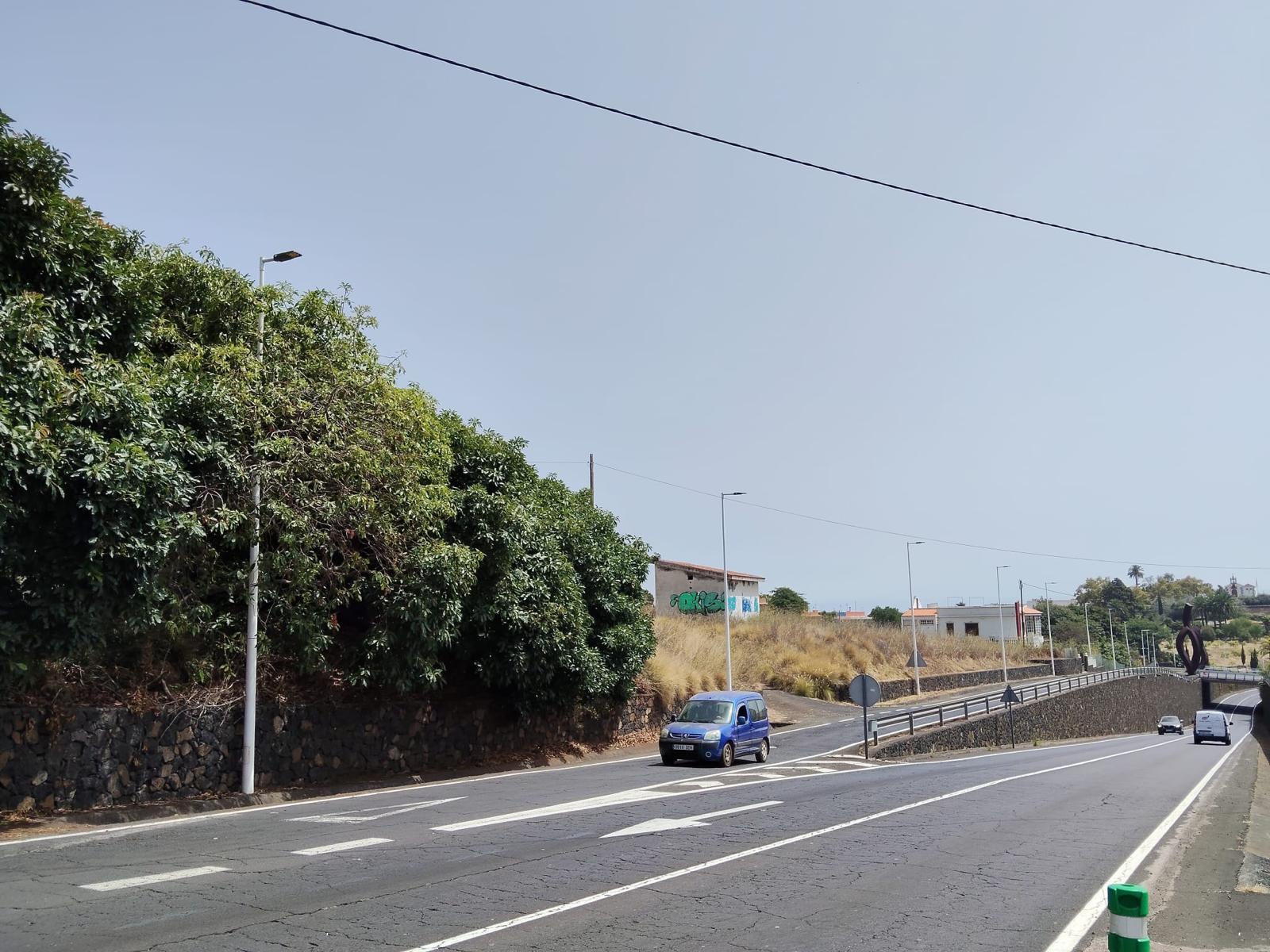 Luminarias de La Concepción.