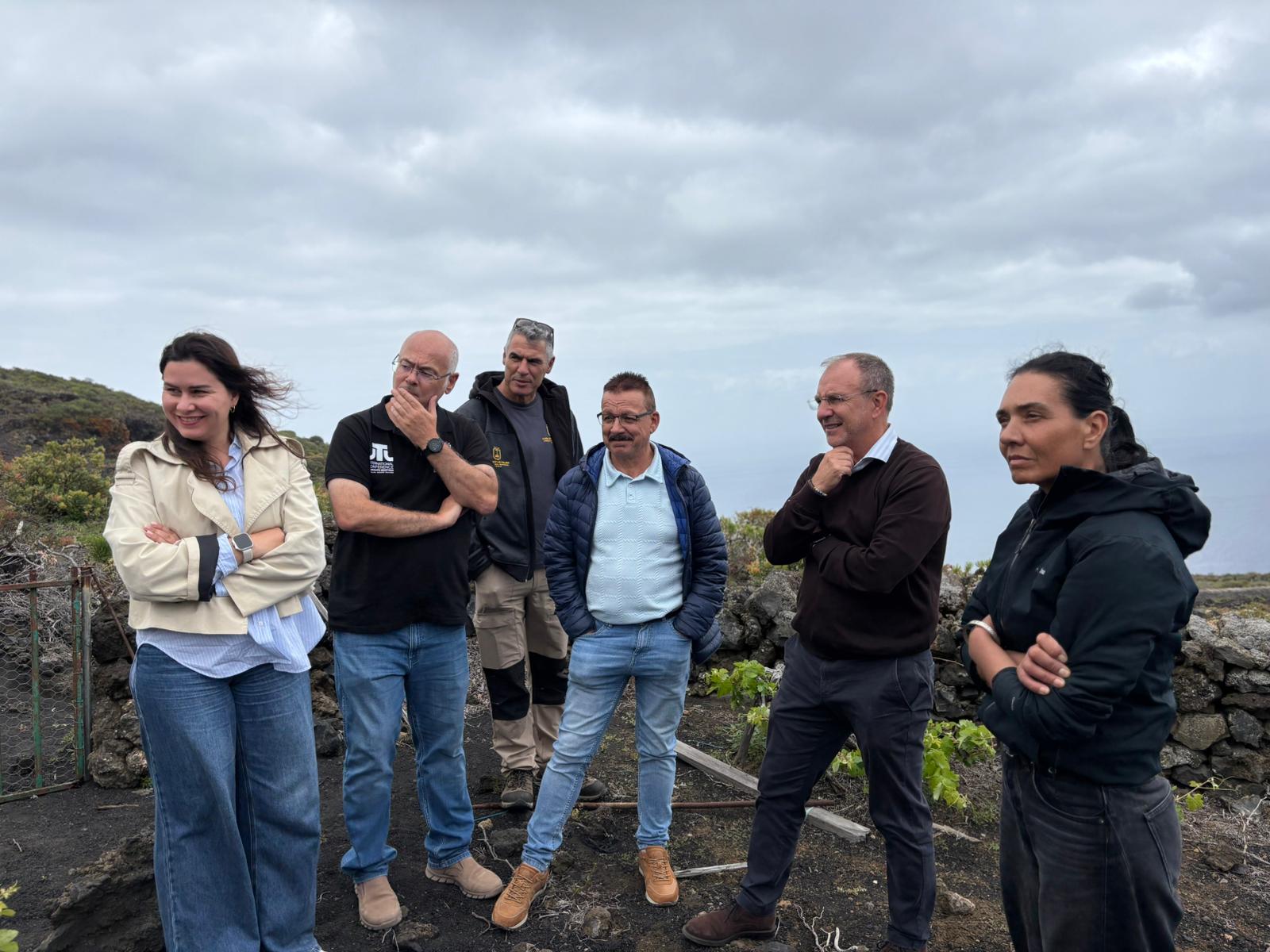 El Cabildo plantea decretar la emergencia cinegética para proteger las parras centenarias de Las Machuqueras, en Fuencaliente