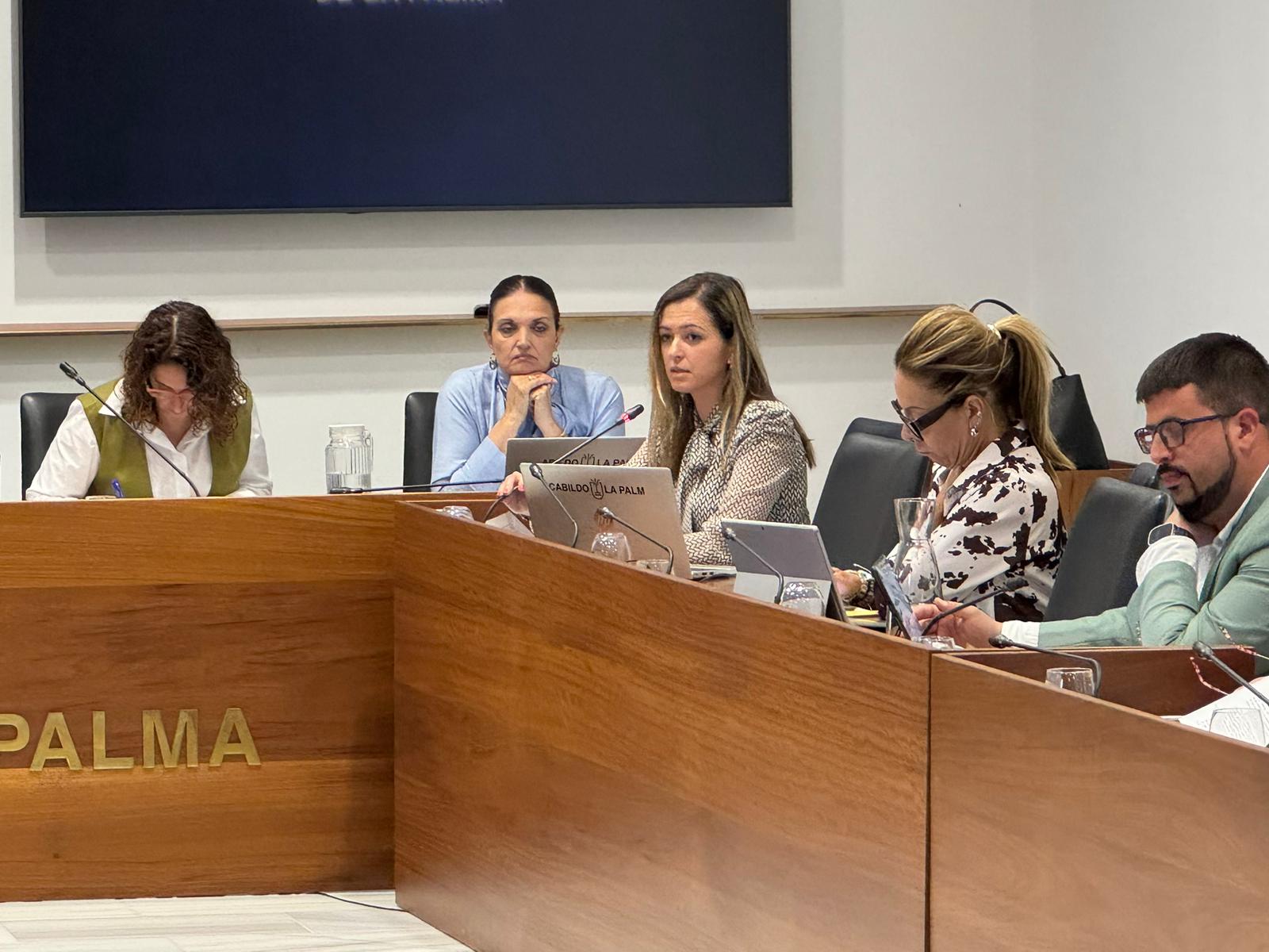 El Cabildo de La Palma defiende el rigor técnico y el respeto a la propiedad privada en la gestión del patrimonio cultural