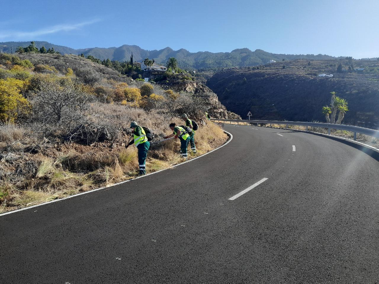 Mejoramos los entornos naturales de La Palma con un plan de empleo social