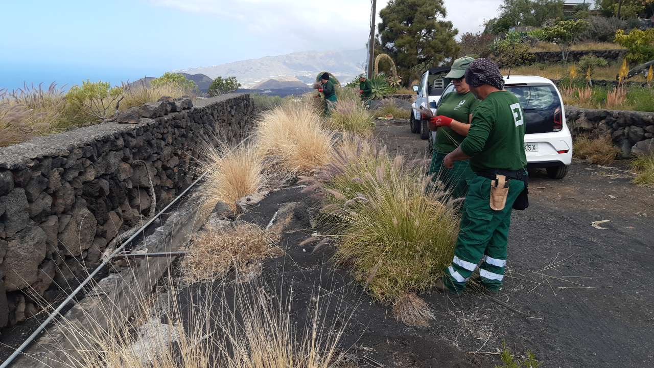 Mejoramos los entornos naturales de La Palma con un plan de empleo social
