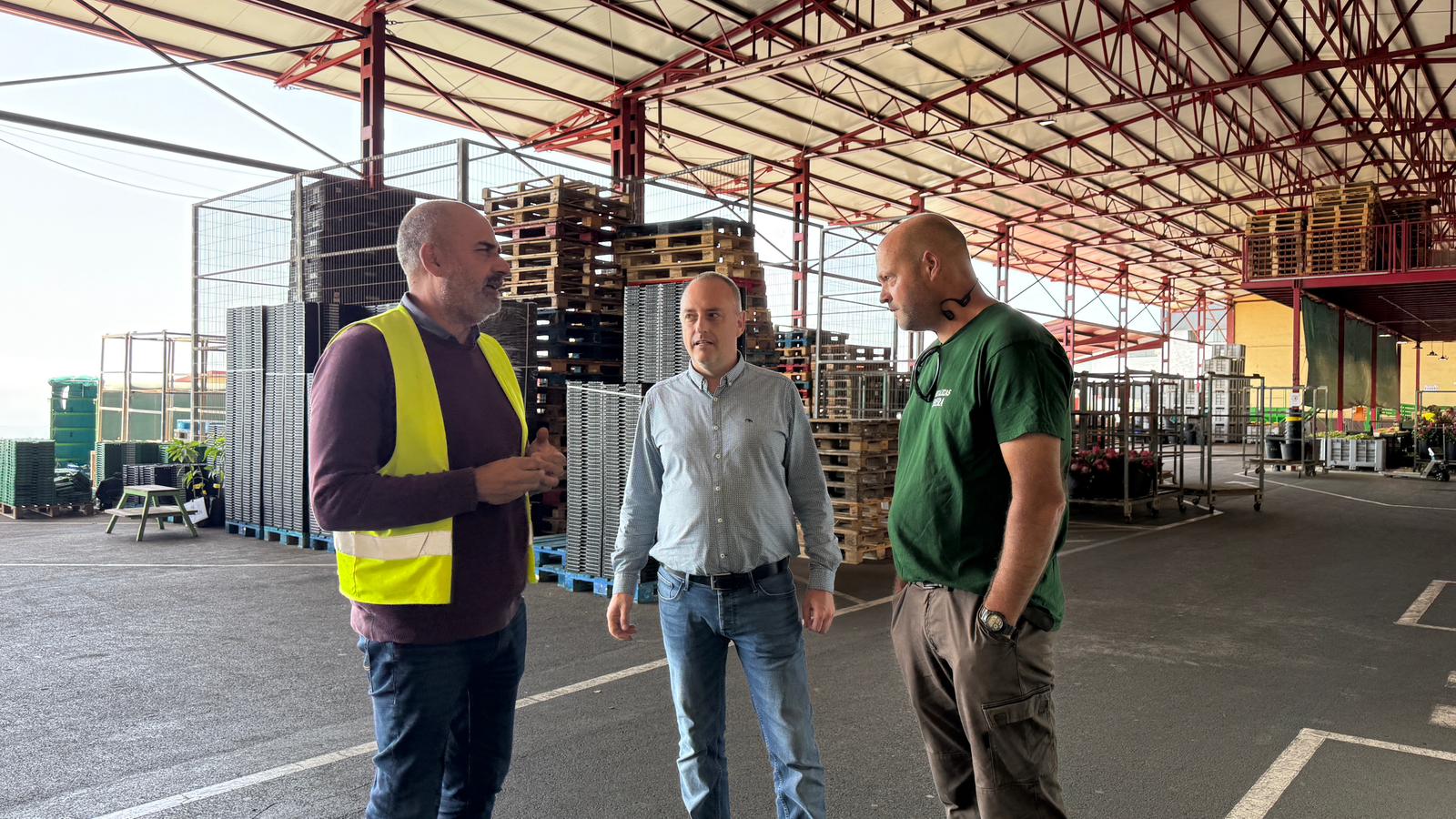 Apostamos por la producción de pimienta palmera de forma integral en la isla