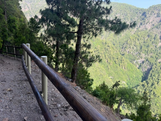 El Cabildo de La Palma reabre parcialmente el sendero de Marcos y Cordero tras concluir los trabajos de mejora y seguridad en la ruta