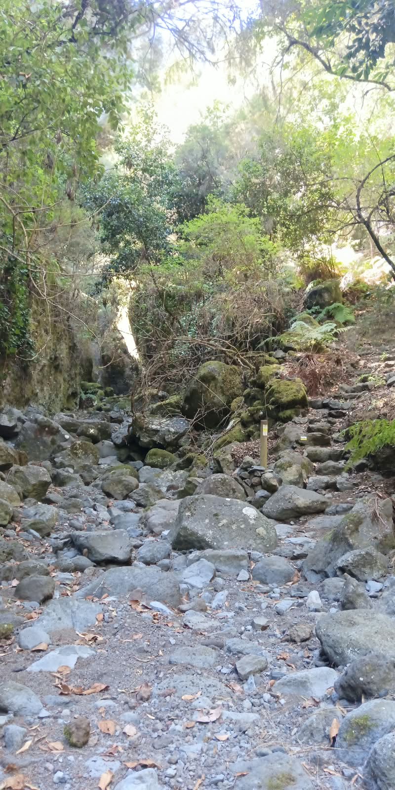 El Cabildo abre definitivamente el sendero de Marcos y Cordero
