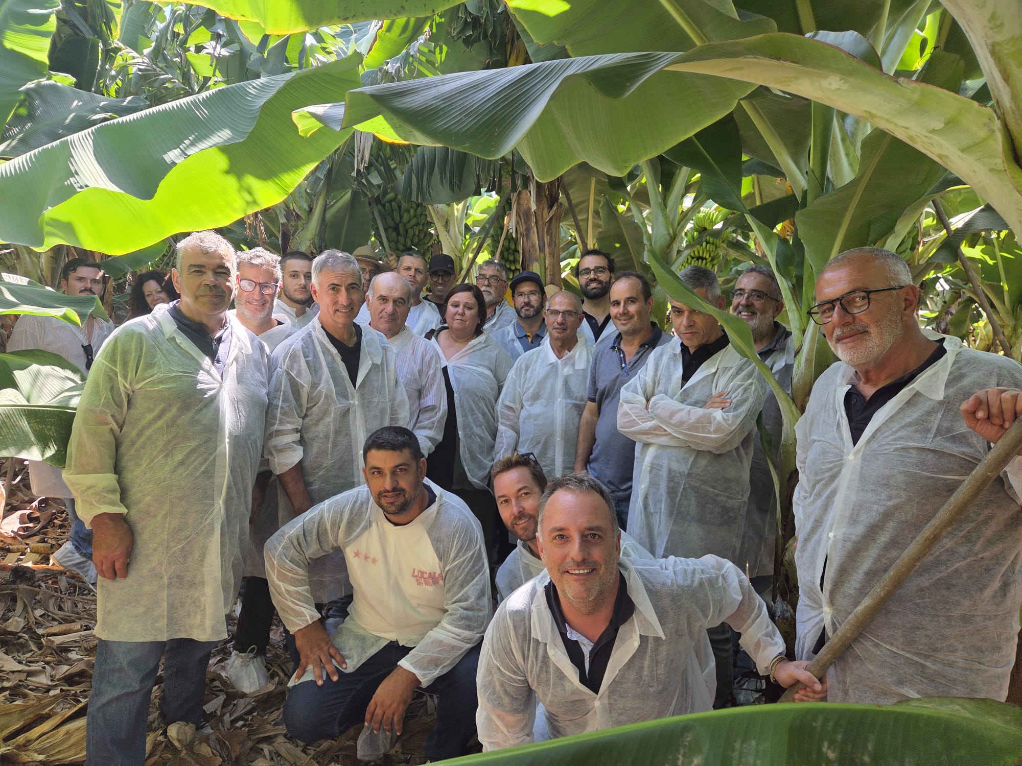 El sector platanero de La Palma conoce en Tenerife nuevas técnicas sostenibles de control de plagas