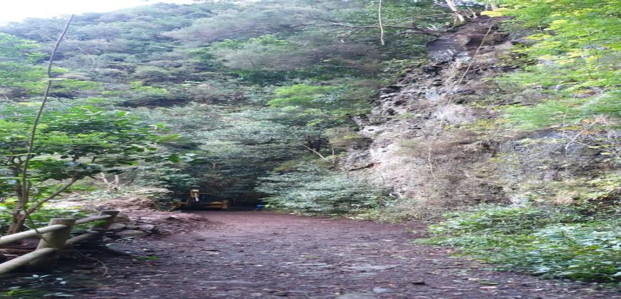 Medio Ambiente reabre el sendero de Marcos y Cordero tras rehabilitar una zona afectada por desprendimientos