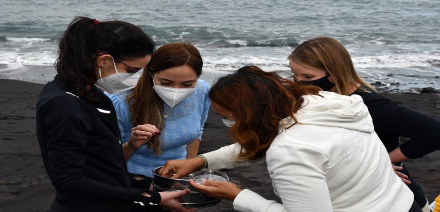 El Cabildo y la ULL realizarán en La Palma el primer estudio en Canarias sobre microplásticos en la zona intermareal