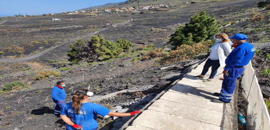 24 personas participan en un plan de empleo diseñado por el Cabildo para restaurar y preservar espacios naturales y paisajísticos