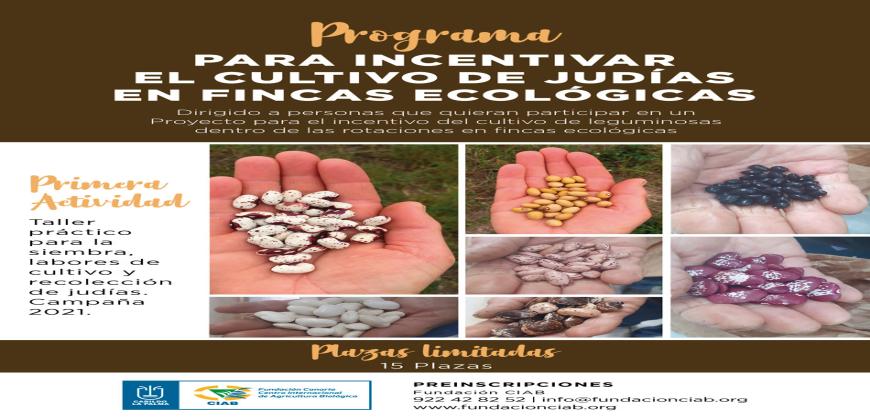 La Fundación CIAB lanza un programa para incentivar el cultivo de leguminosas en La Palma