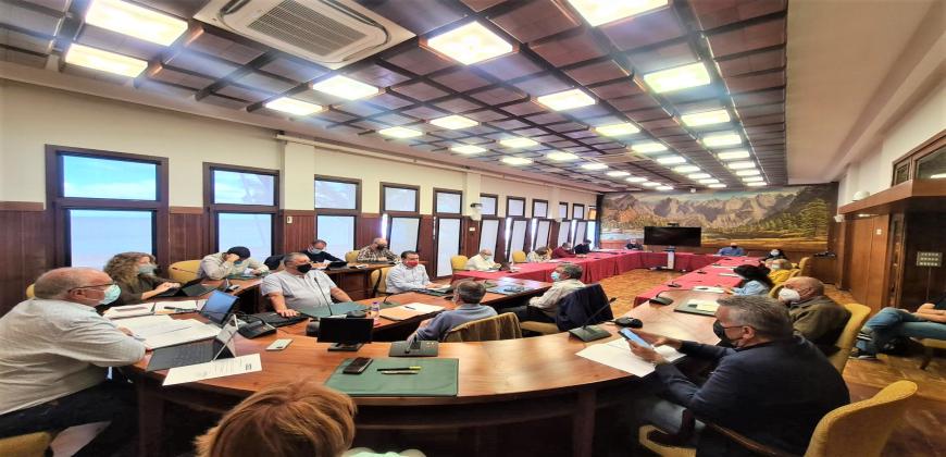 El Cabildo avanza en su estrategia de cumplimiento de la Agenda 2030 contando con la implicación del Consejo Social