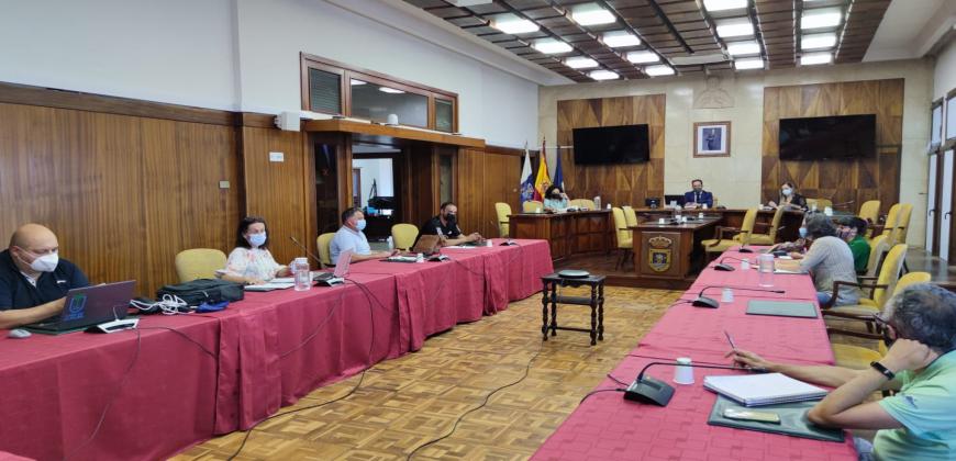 El Cabildo crea una aplicación para mejorar el seguimiento del estado del rabo de gato en la isla