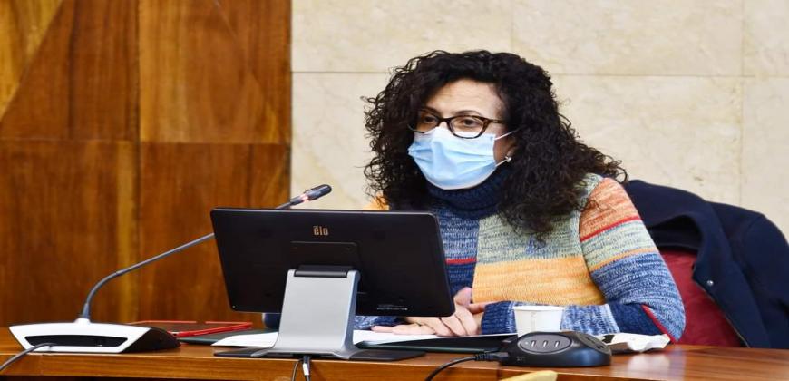 La consejera de Participación Ciudadana, Nieves Rosa Arroyo