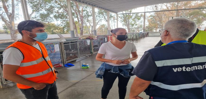 El Cabildo convoca las subvenciones para las protectoras de animales de 2021