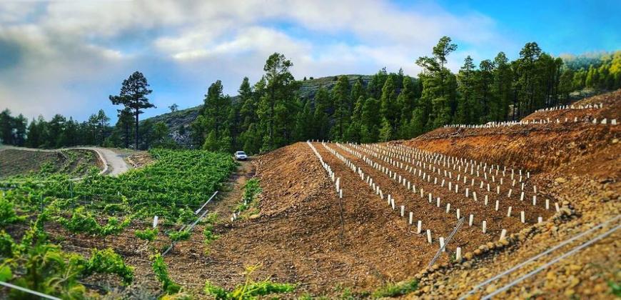 El Cabildo subvenciona la instalación de un centro de formación de ADER en Breña Baja