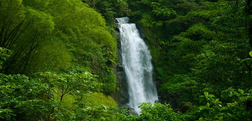 La Reserva de la Biosfera aprueba su presupuesto para 2022, que cuenta con una subvención de 15 millones para la recuperación de la Isla