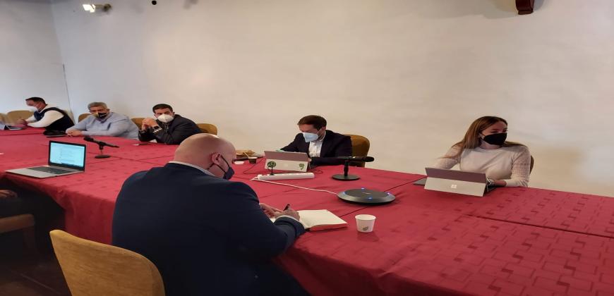 Cabildo, ayuntamientos y Gesplan coordinan las actuaciones del Plan Extraordinario de Formación y Empleo