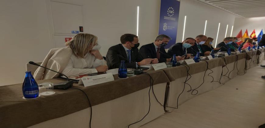 La FEMP reúne a su Comisión de Diputaciones y Cabildos en León