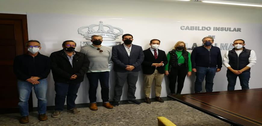 El Cabildo coordina con el Consejo Canario de Colegios de Arquitectos acciones para la recuperación de La Palma