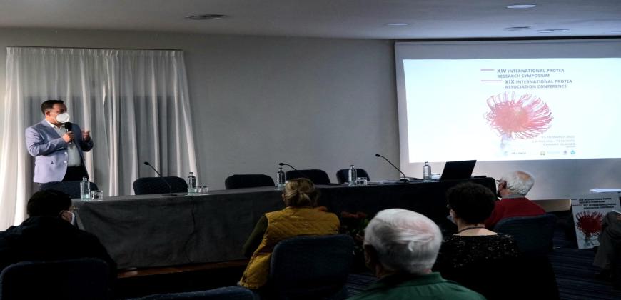 La Palma se convierte en capital mundial de las proteas con la celebración del Simposio Internacional del sector