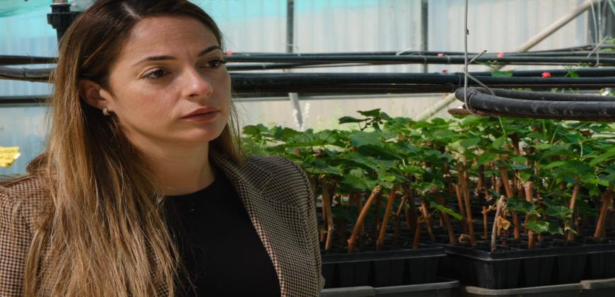 Medio Ambiente obtiene fondos europeos para mejorar los recursos en la prevención y lucha contra los incendios y la gestión forestal 