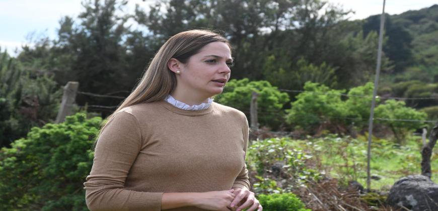 El Cabildo de La Palma adopta medidas preventivas ante la Alerta Máxima por Riesgo de Incendios Forestales