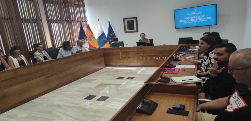 El Consejo insular de Servicios Sociales aprueba la creación de la Comisión Especial de Discapacidad