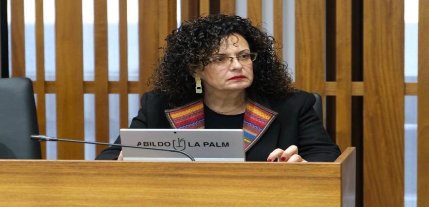 El Pleno del Cabildo da luz verde a la creación del Consejo Sectorial para la Recuperación y Reconstrucción de La Palma