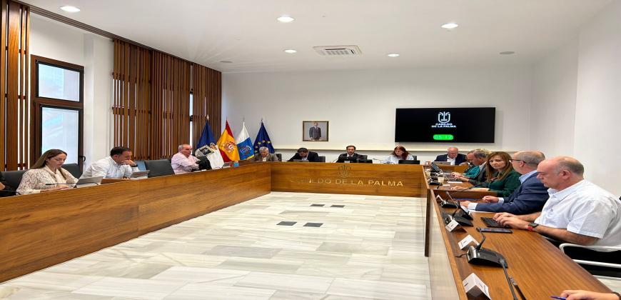 El Cabildo aprueba el Reglamento de la Mesa de la Juventud de La Palma